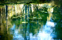 Monet's Lake 2