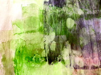 Gardens and Green Ink Abstract (tap image to open series)