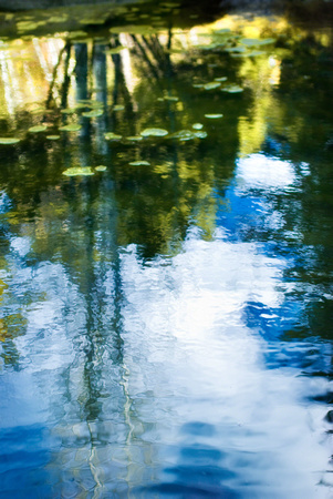Monet's Lake 3