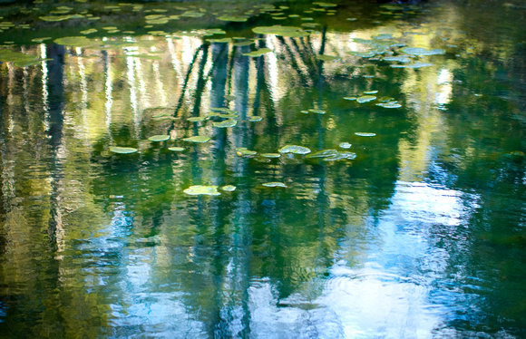 Monet's Lake 2